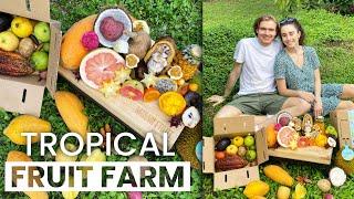 Tropical Fruit Farm Tour | Miami Fruit Florida