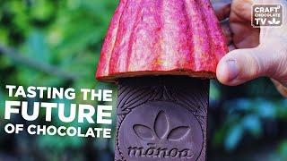 Tasting the Future of Chocolate - Ep.56 - Craft Chocolate TV