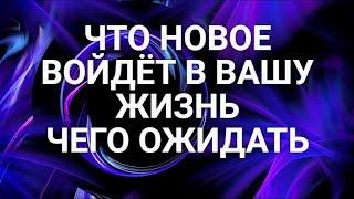 ЧТО НОВОЕ ВОЙДЁТ В ВАШУ ЖИЗНЬ. ЧЕГО ОЖИДАТЬ. ГАДАНИЕ ОНЛАН. ИРИНА ЗАХАРЧЕНКО.