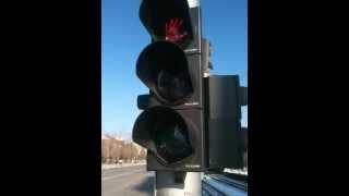 Зелен светофар / Green traffic-light