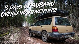 SUBARU FORESTER OVERLAND ADVENTURE - Off road, overnight, bushcooking and trail repair !