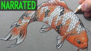 How to Draw a Fish ("Koi"): Narrated Step-by-Step