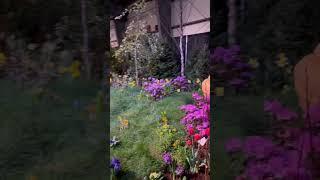 Overview of water feature at Vermont Flower Show