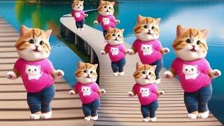 ️Cat videos funny dance Videos for catsv#funnycats #dancingcat #catlovers  @furry-cornerz