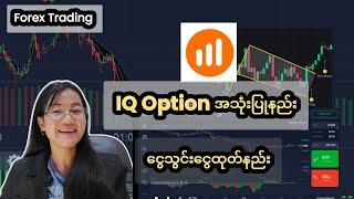 IQ Option မှာ Forex Trading လုပ်နည်း ငွေသွင်းငွေထုပ်နည်းအသေးစိတ်How To Use IQ Option