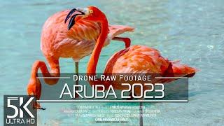 【5K】 Drone RAW Footage  This is ARUBA 2023  Netherlands Antilles  UltraHD Stock Video