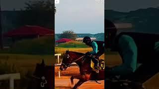 #chennai #racecoursepark #horserace #horselover #horse #life #like