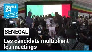 Présidentielle au Sénégal : les candidats multiplient les meetings • FRANCE 24