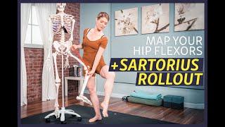 Understand Your Hip Flexors and Massage Your Sartorius