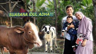 QURBAN PERTAMA BANG SHAQUILLE, ABI YANG POTONG HEWANNYA!!! | AZMANNIS