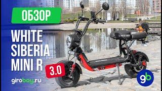 WHITE SIBERIA MINI R версия 3.0 - бодрый электроскутер от известного производителя!