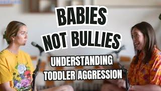 Babies Not Bullies | How to understand and respond to toddler aggression