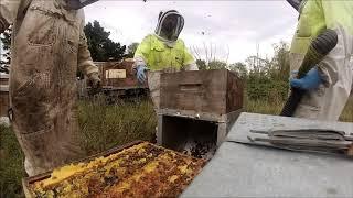 The BeeKeepers Honey NZ