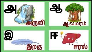 Uyir Ezhuthukkal/தமிழ் உயிர் எழுத்துக்கள்/tamil learning videos/Saye art and craft