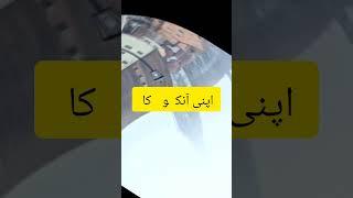 Salar Sikandar love  status | Urdu Novels #shortsfeed #novels #imamahashim