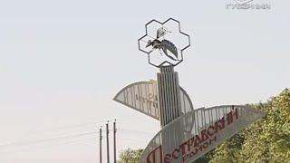 Земля Самарская. Пестравский район