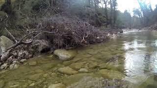 Suzuki Jimny into the river