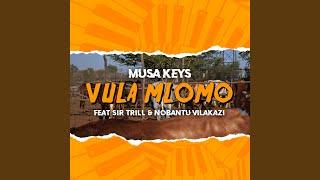 Vula Mlomo