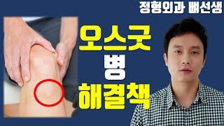 [오스굿 씨 병] 무릎 딱 이 부위가 아플 때 걱정 안 해도 되는 이유