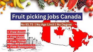 Fruit Picking Jobs In Canada | Canada Work Visa | Work In Canada