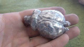 Aluminum Poured into a Porcupine and a Muskrat Skull