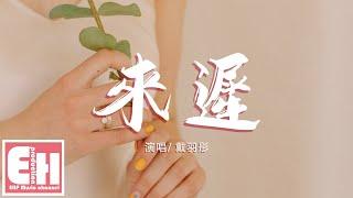 戴羽彤 - 來遲『我這一次終究還是來得太遲，錯過了你此後所有的故事。』【動態歌詞Lyrics】