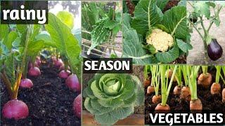 TOP 10 RAINY SEASON VEGETABLES//EASY TO GROW//ARTS And GARDEN?