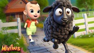 Baa Baa Black Sheep + More Nursery Rhymes & Kids Songs | Minibus