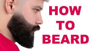 HOW TO FADE AND SHAPE A BEARD | EASY GUIDE