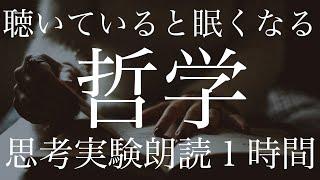 聴いてると眠くなる哲学的思考実験２７選【雑学朗読】【作業用・睡眠用】