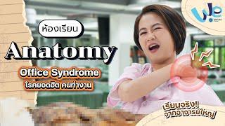 ห้องเรียน Anatomy : ทำไมถึงเกิดอาการ Office Syndrome โรคยอดฮิต คนทำงาน | We Mahidol