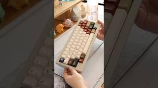 tactile asmr on HHKB | Keychron Q60 Max #mechanicalkeyboard