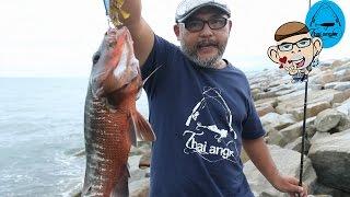 Thai Angler สัญจร ไปเฉลยข้อสอบ งานแข่งตกปลาชายฝั่ง TFE ที่ประจวบ