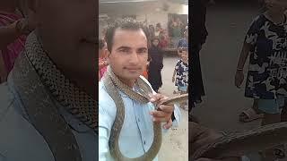 nepali snake catcher  #viralvideo #youtubeshorts