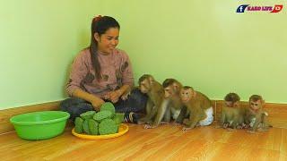 Five Little Kako Luna Olly Lisa & JiJi Eating Lotus Seeds