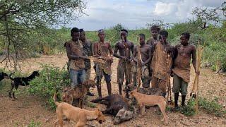 How do Hadzabe hunter Gatherers sustained their life & traditional for over 50,000 years | BEST 2022