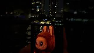Goodnight  #kasinglung #labubu #themonsters #blindbox #popmart