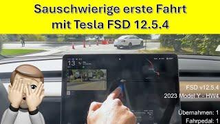 Extrem schwierige Fahrt für Tesla FSD's neueste Version 12.5.4 – und sie tut sich schwer 