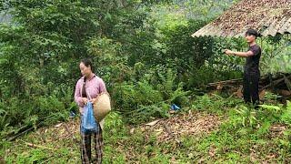 Single woman rebuilds new wall for old house - Ly Tieu Nhi