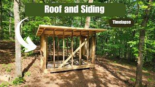 DIY Chicken Coop Build | Part 2 (Roof and Siding)