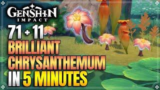 Brilliant Chrysanthemum Locations | Fast and Efficient | Xilonen Ascension Materials【Genshin Impact】