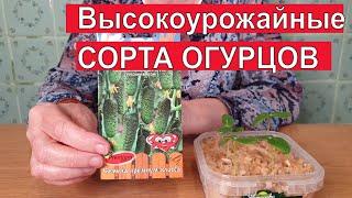 САМЫЕ Урожайные Сорта Огурцов Для Теплицы