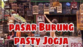 Pasar Burung Pasty Jogja || Rivew Pasar Burung di Jogja PART 1 - || Terlengkap seJogja