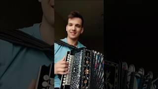 Под быка уселася #гармонь #частушка #песниподгармонь #матаня #наигрыши