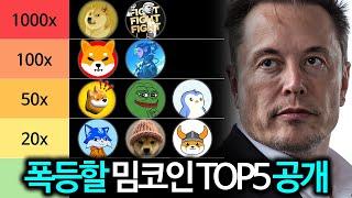 밈코인 대불장에 폭등할 일론머스크 관련 밈코인 TOP5 총정리