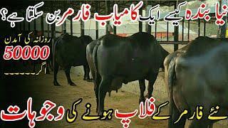 How To Become A Successful Dairy Farmer|Buffalo Farming In Pak|Dairy Farming In Pak|Dairy Farm India