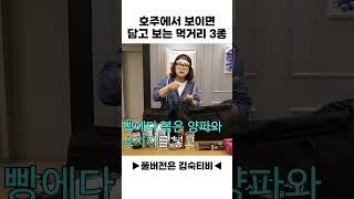 호주 먹거리 3종 소개