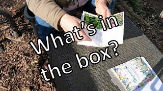 #332 Subscription unboxing - more March seed sowing - transplanting seedlings