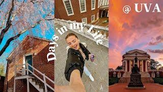 days in my life @ UVA | date function, life updates, lawn picnic, and more