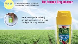 Miracle® Crop Booster | FMC India